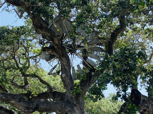 Windmill In Tree